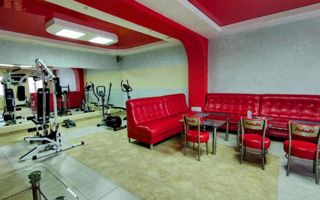 Fitness centrum a/nebo fitness zařízení v ubytování Zabava Guest House
