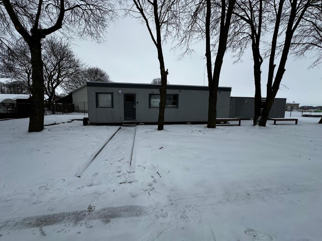 a house in a snow covered yard with trees at Nakvynes namelis in Norgėlai