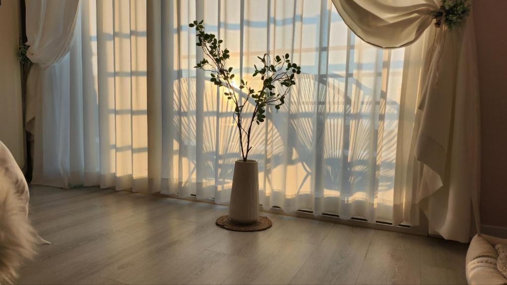 a vase with flowers in it in front of a window at Pension Haneul Tari in Jeju