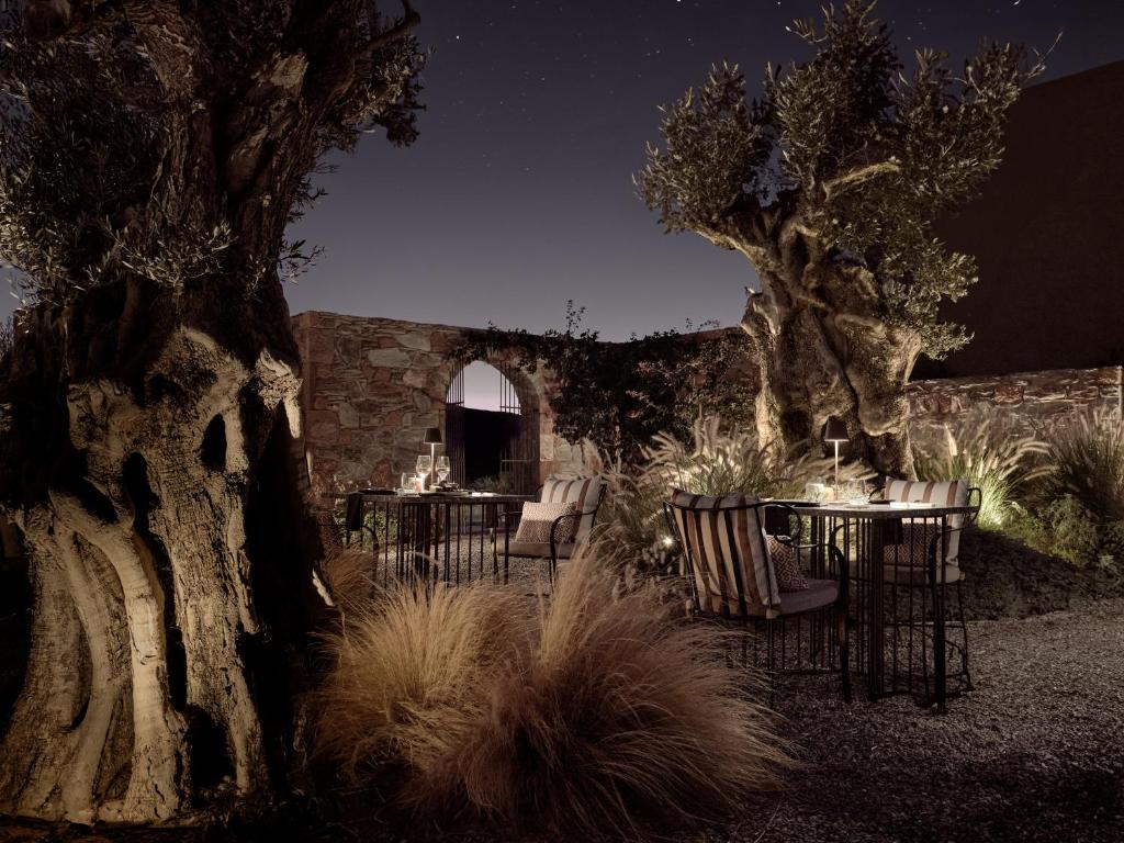 Acro Suites - A Wellbeing Resort - 16