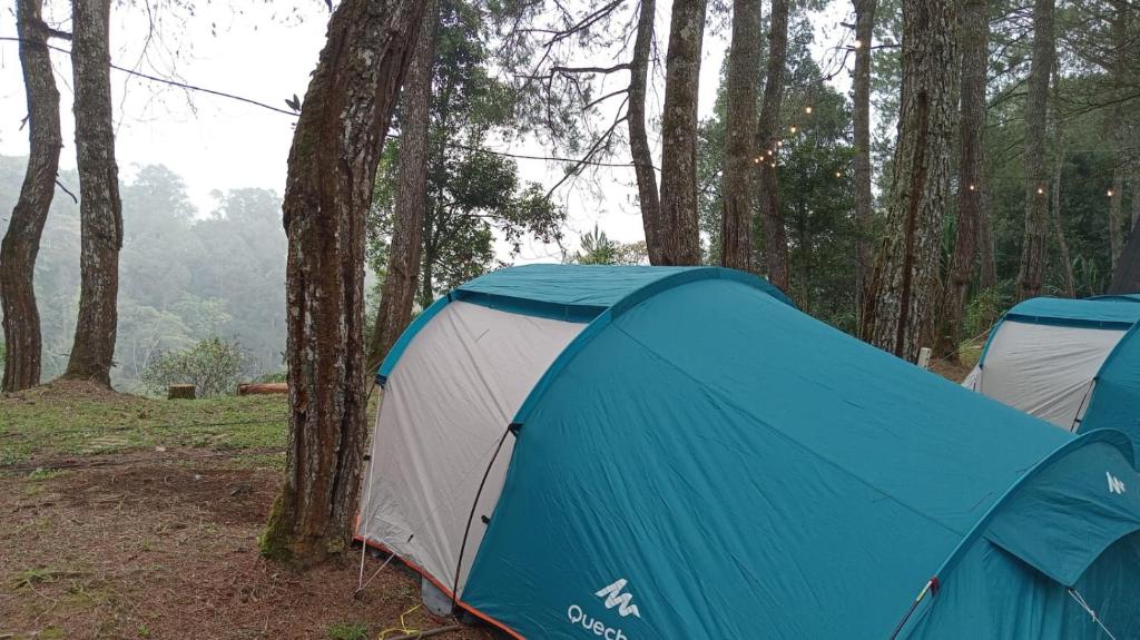 two blue and white tents in a forest at Great Panorama Lodge and Camping in Lembang