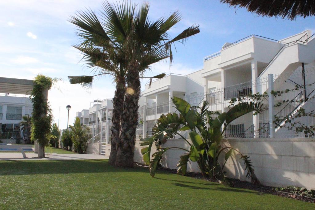 a palm tree in front of a white building at Vista Bella in Torrevieja