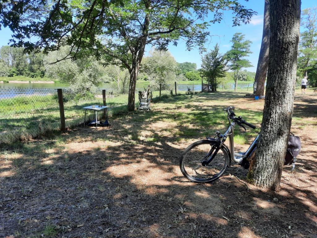 Una bicicleta estacionada junto a un árbol en un parque en CAMPING ONLYCAMP LE PORT en Saint-Benoît-sur-Loire