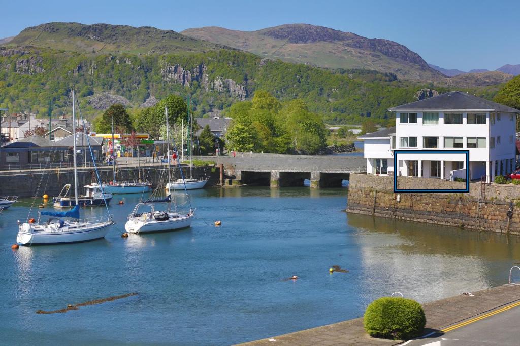 um grupo de barcos está ancorado num porto em Harbour Views Porthmadog 1102B em Porthmadog