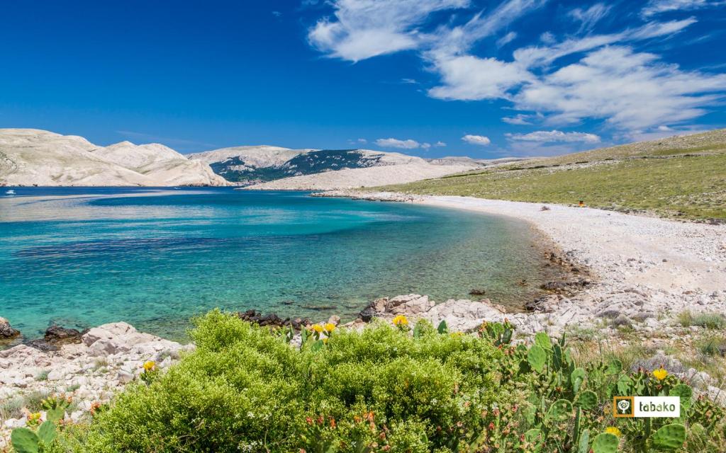 a view of a beach with mountains in the background at Villa Valis in Baška