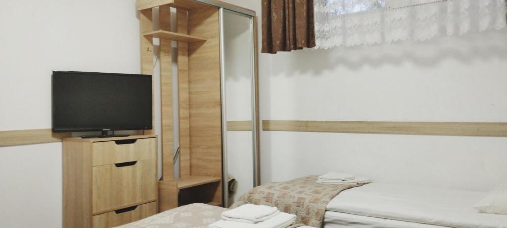 TV a/nebo společenská místnost v ubytování Domino