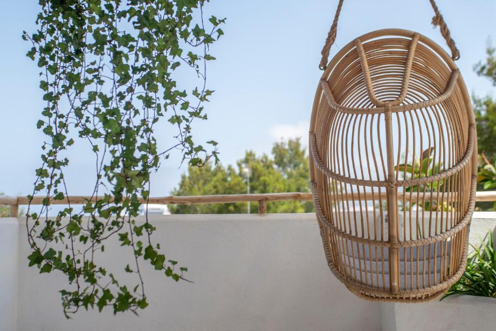 Fotografie z fotogalerie ubytování Hotel Boutique & Spa Las Mimosas Ibiza v destinaci Enseada de San Antonio