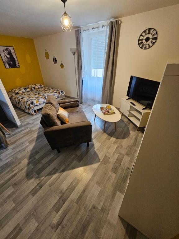 sala de estar con sofá y TV en Appartements entiers proche Aéroport - ZAC Chesnes - CNPE du Bugey Check-In 24h7J, en Satolas-et-Bonce