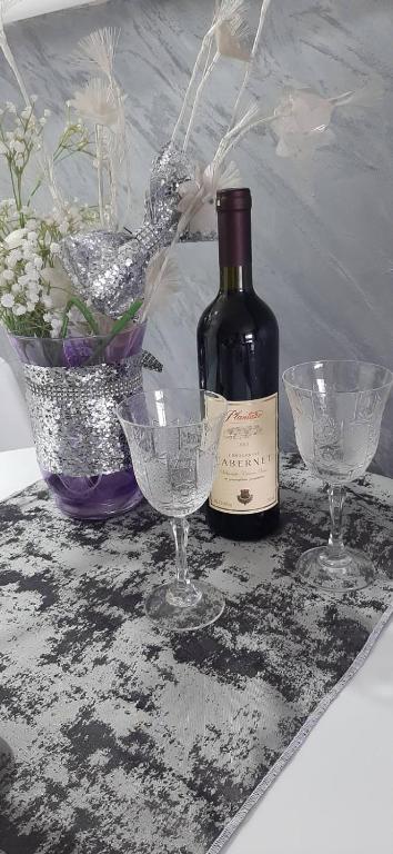 Cozzy apartment near the Aiport Podgorica - 3