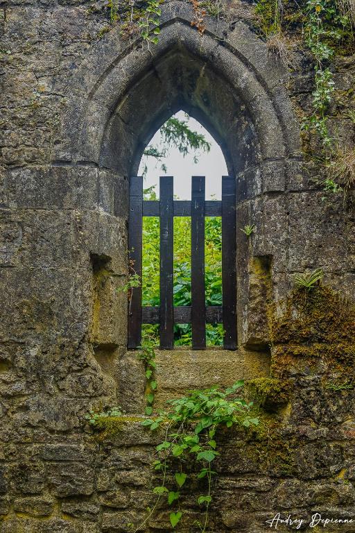 Fotografie z fotogalerie ubytování Orval16 v destinaci Abbaye dʼOrval