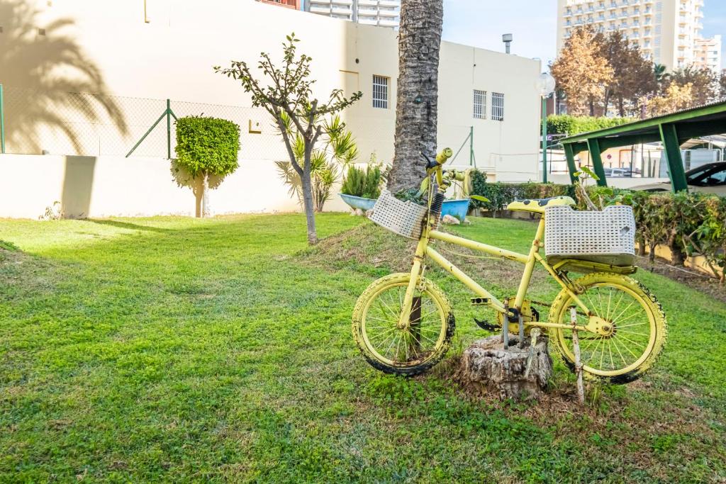 A garden outside Alteanos 16-2 Apartment Levante Beach