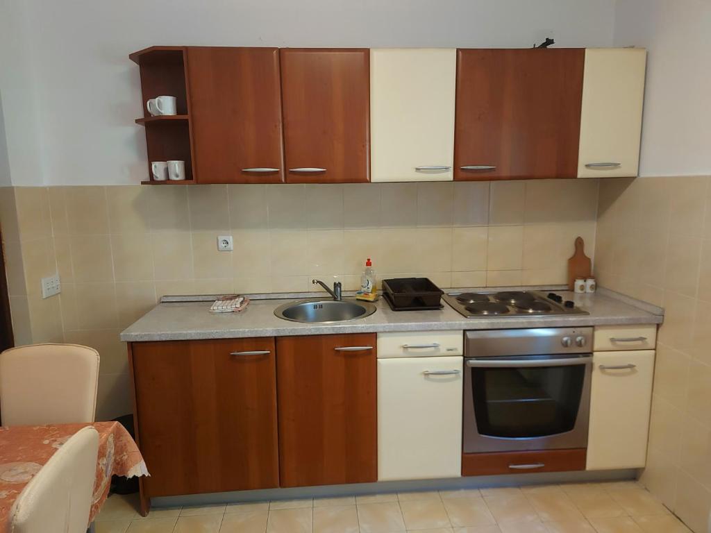 Kuchyň nebo kuchyňský kout v ubytování Apartmani vila Todor