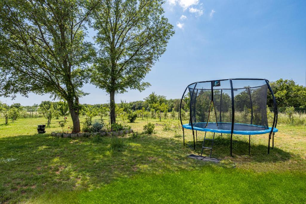 Vonkajšia záhrada v ubytovaní Villa Campagna near Fažana with 7250m2 large garden and sauna