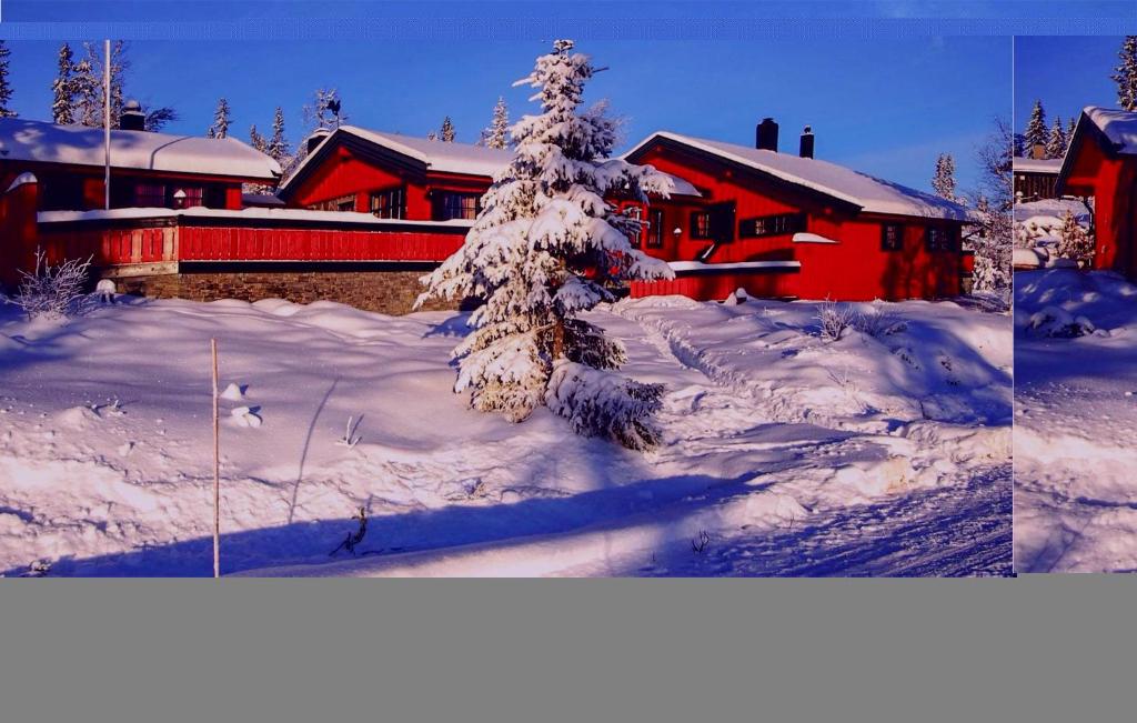 a snow covered tree in front of a red house at Amazing Home In stby With House A Mountain View in Østby