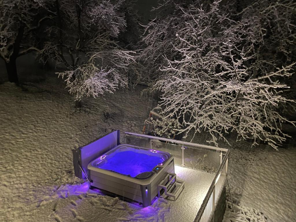 Apart Moidl mit privatem Pool during the winter