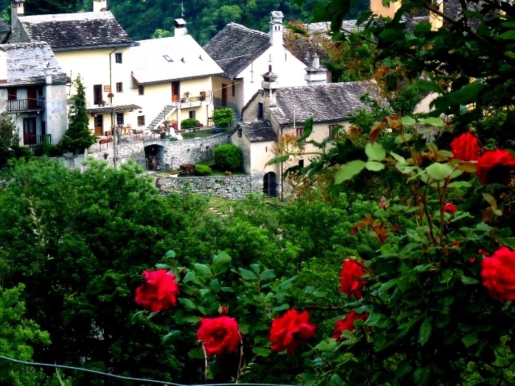 a small village with red flowers in the foreground at B&B Alpe Veglia in Varzo