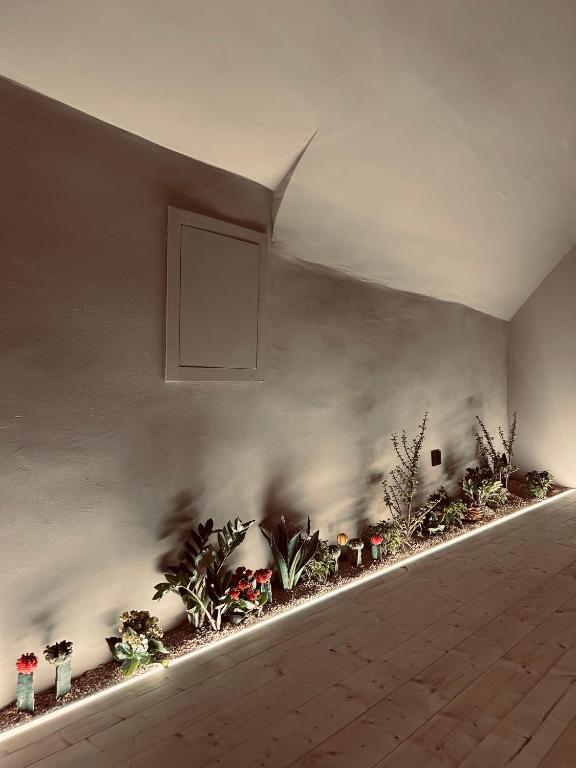 Green Cave, Design Room