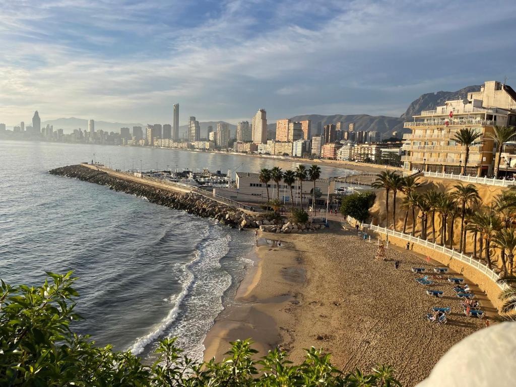 una playa con palmeras y el océano y una ciudad en Benidorm Old Town House with lounge area en Benidorm