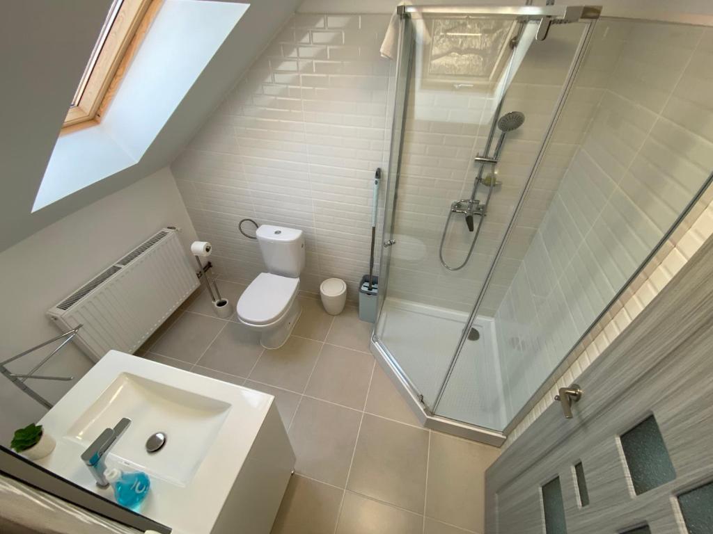 a bathroom with a shower and a toilet and a sink at Sunny Hill Apartments in Sînpetru