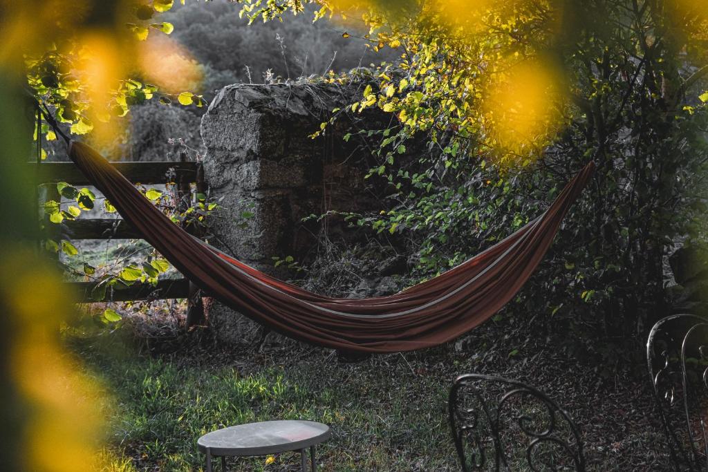 Zahrada ubytování Tiny House Morvan Bourgogne nature - 2h de Paris