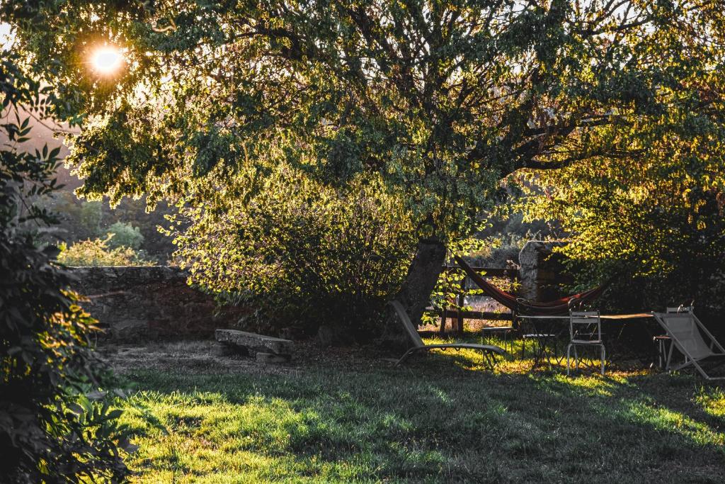 Zahrada ubytování Tiny House Morvan Bourgogne nature - 2h de Paris