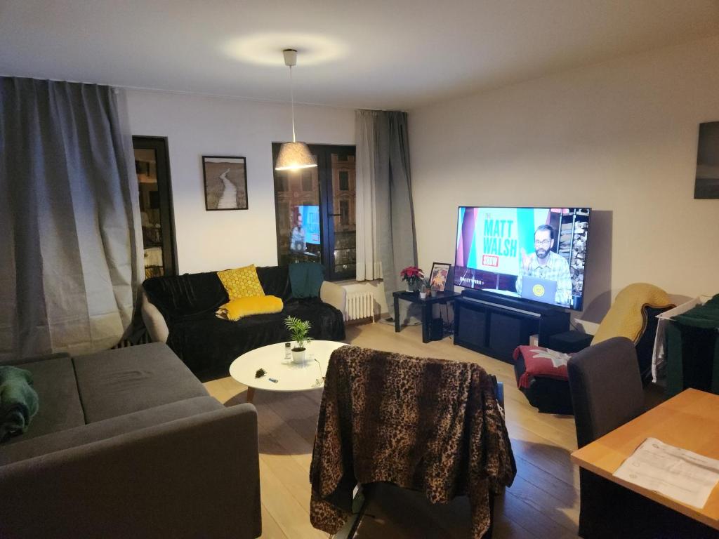 布魯塞爾的住宿－Charming apartment in the center of Brussels，带沙发和电视的客厅