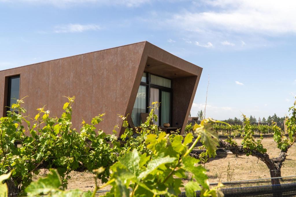 une maison dans un vignoble avec un bâtiment dans l'établissement Andeluna Winery Lodge, à Tupungato