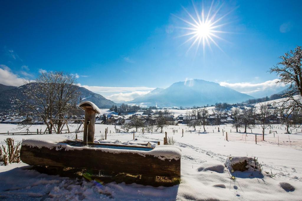 ein schneebedecktes Feld mit einem Berg im Hintergrund in der Unterkunft Langerbauer-Hof in Ruhpolding