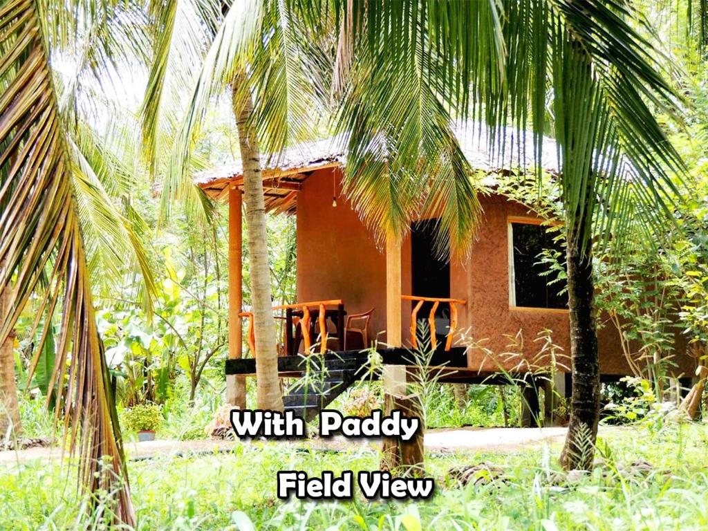 a small house in the middle of some palm trees at Milk House Cottage in Udawalawe