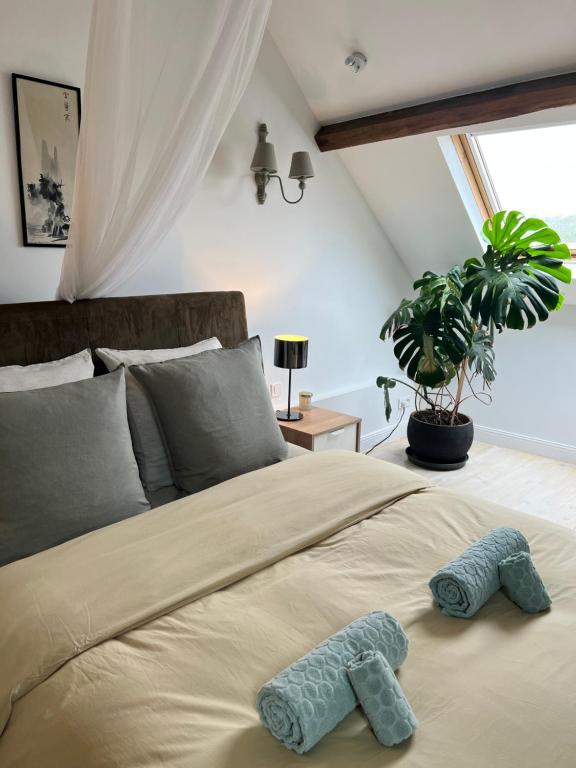 Maison de Haouret - Habitación Doble