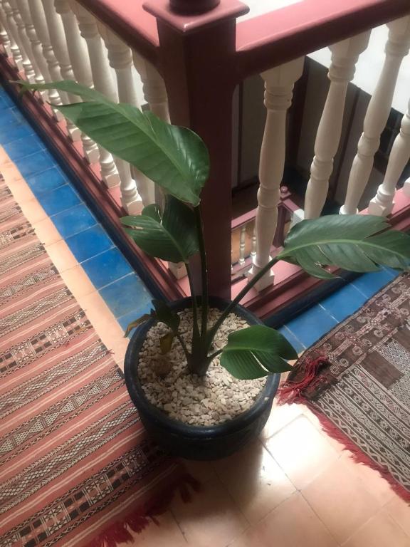 Kuvagallerian kuva majoituspaikasta Hôtel Riad Gnaoua, joka sijaitsee kohteessa Essaouira