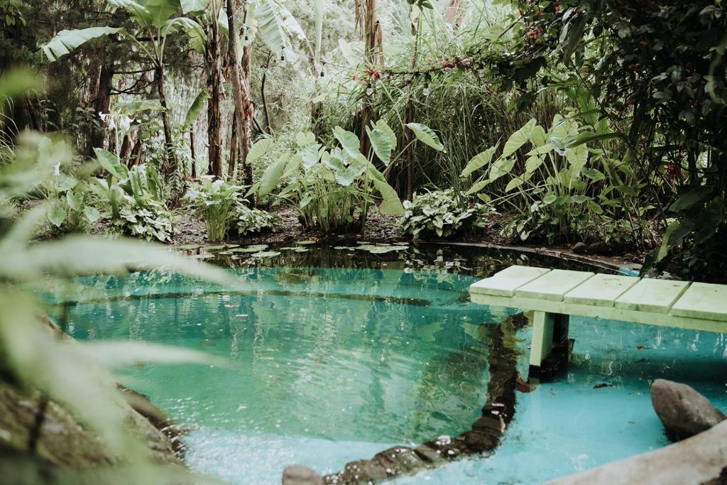 uma mesa de piquenique numa piscina de água numa floresta em Casa Curativa em Tzununá