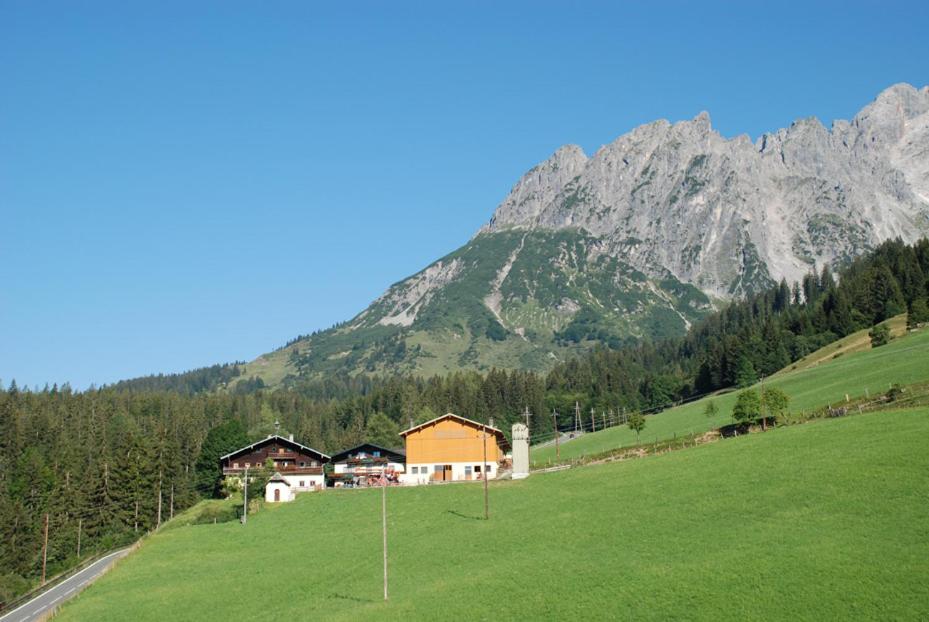 uma casa num campo com uma montanha ao fundo em Ferienbauernhof Elmaugut em Mühlbach am Hochkönig