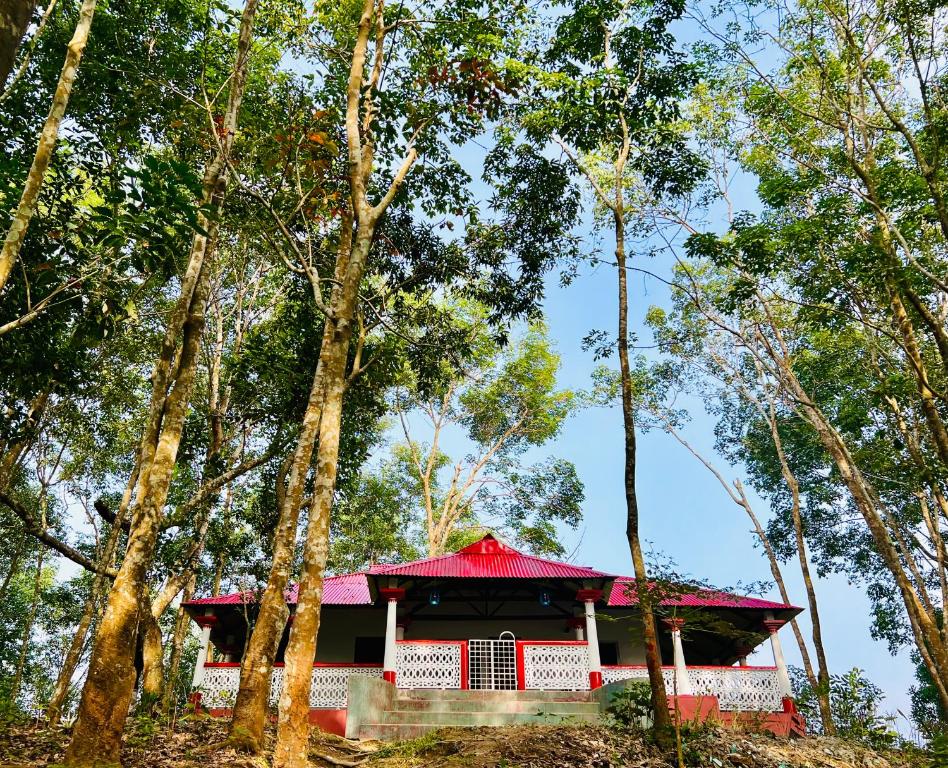 a house in the middle of the trees at Fairy Hills ( Cottage & Park ) in Sreemangal