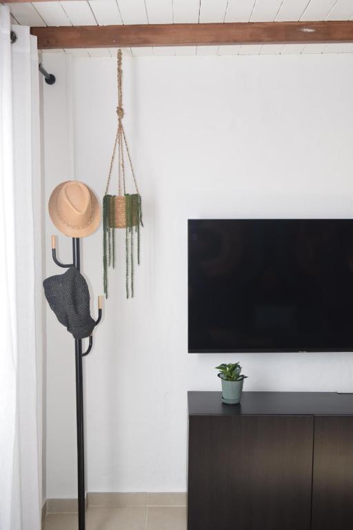 TV a/nebo společenská místnost v ubytování Casa Zizi
