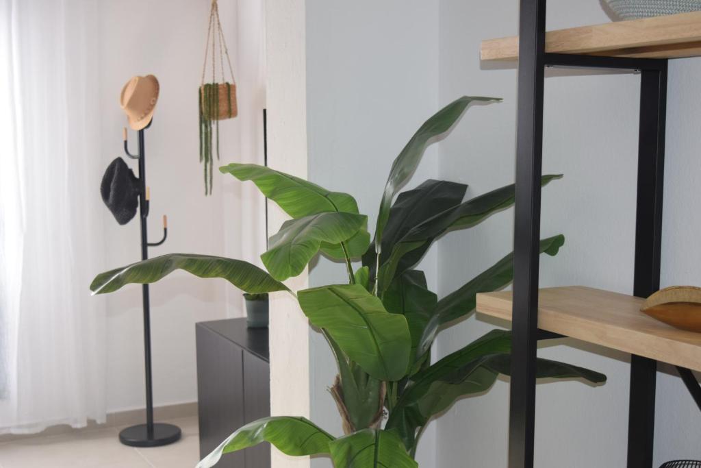 Fotografie z fotogalerie ubytování Casa Zizi v destinaci Costa Calma