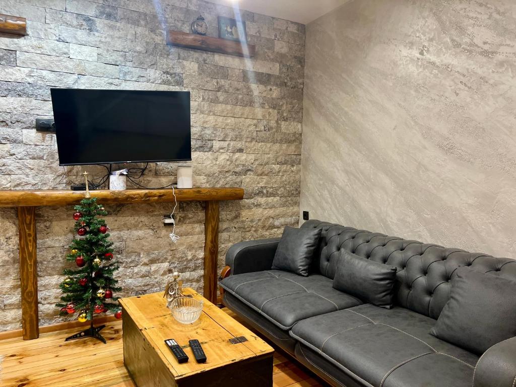 TV a/nebo společenská místnost v ubytování Krisiyasapartment
