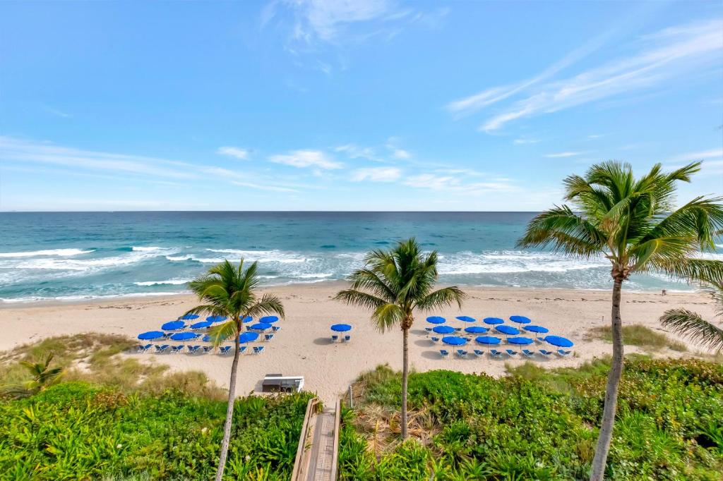 Tideline Palm Beach Ocean Resort and Spa في بالم بيتش: شاطئ فيه مظلات زرقاء والنخيل والمحيط