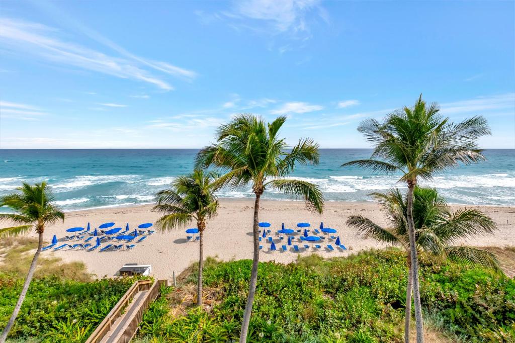 a beach with blue chairs and palm trees and the ocean at Tideline Palm Beach Ocean Resort and Spa in Palm Beach