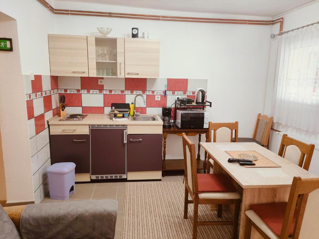 Kuchyňa alebo kuchynka v ubytovaní Apartment Tina Gračac