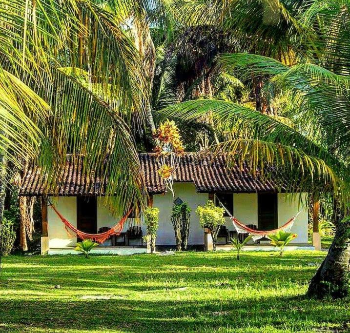 Casinha Jardim das Palmeiras - Double Room With Park View