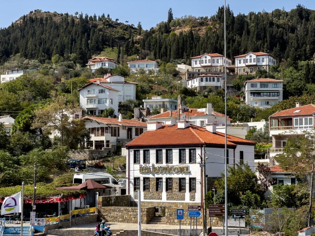 a group of houses on a hill with a building at İLİA BUTİK OTEL in Eceabat
