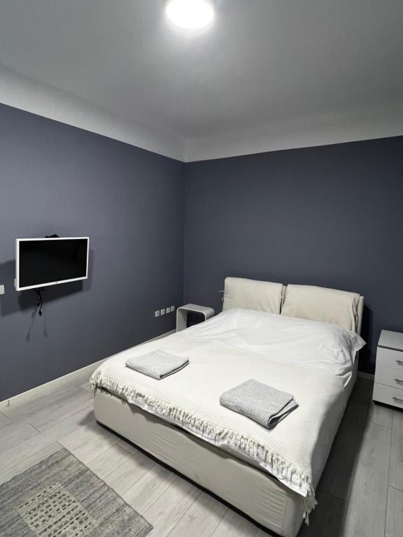- une chambre avec un lit et une télévision à écran plat dans l'établissement Sandra City Center Apartment, à Belgrade