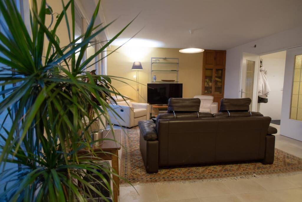 un salon avec un canapé et une télévision dans l'établissement Bel appartement avec baignoire, à Strasbourg