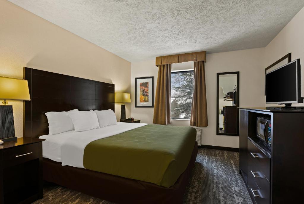 a hotel room with a bed and a television at Quality Inn Traverse City in Traverse City