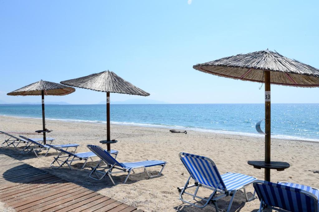 Příroda nedaleko hotelu