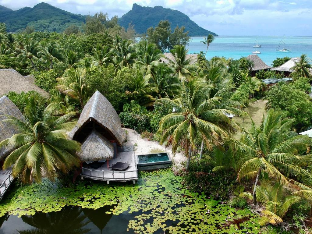 Maitai Lapita Village Huahine, Fare - photo 11 - Huahine, Polynésie