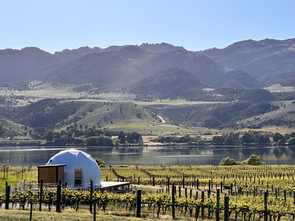 a white dome building in a vineyard next to a lake at Glamping Dome - Rosé in Cromwell