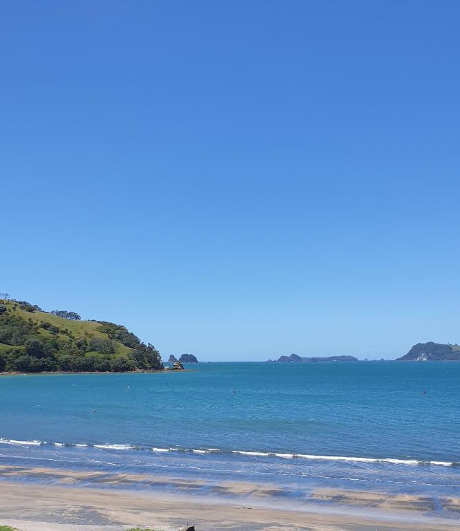 Beachsider Whitianga - Resim 1