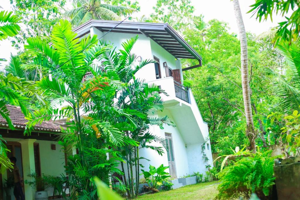 a white house with palm trees in front of it at Charming dark lodge in river in Weligama